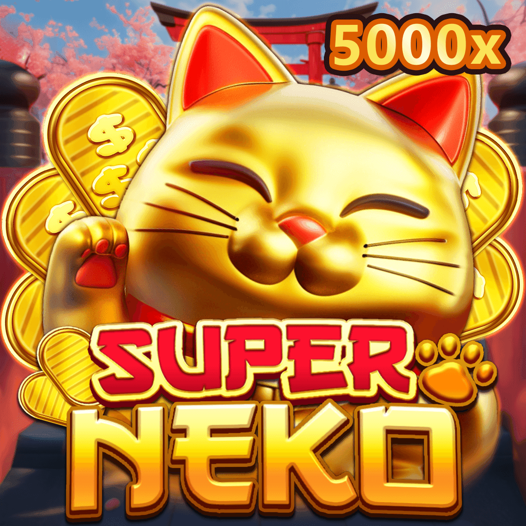 Gato sortudo